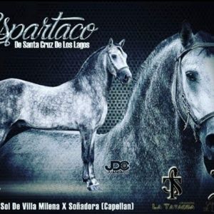 Meet your Posher, Will